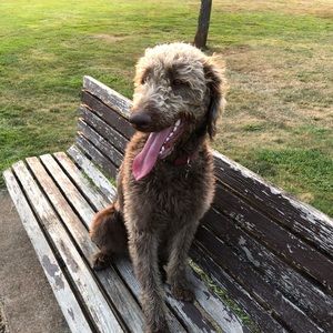 Meet your Posher, Megan